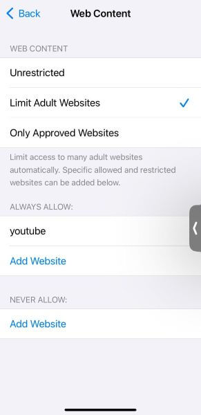 limit audit websites
