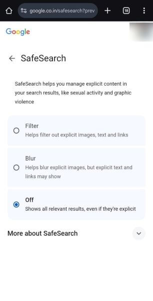 choose filter to block adult websites