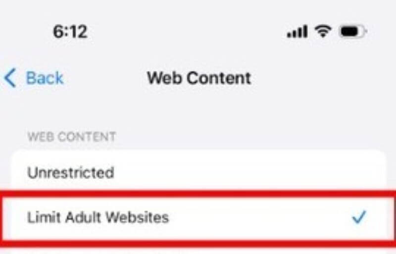 limit adult websites