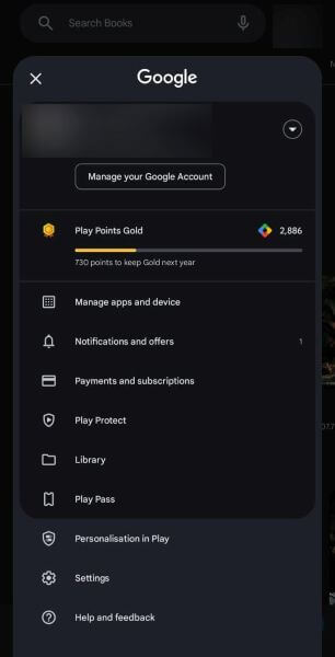 access google play store settings