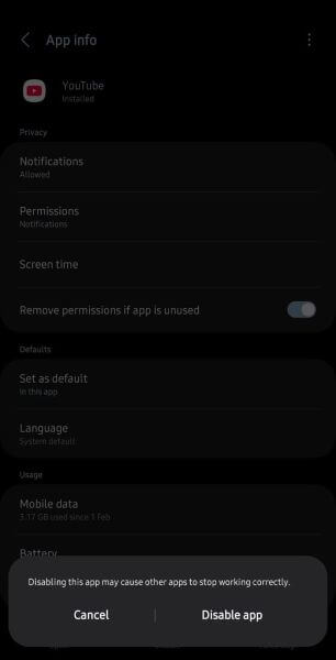 disable the youtube app