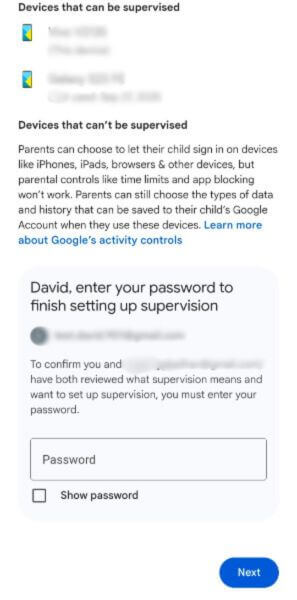 enter password and click next