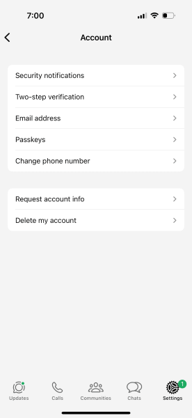 access whatsapp settings