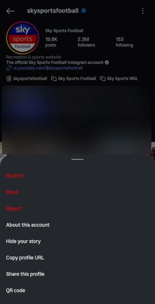 block the profile