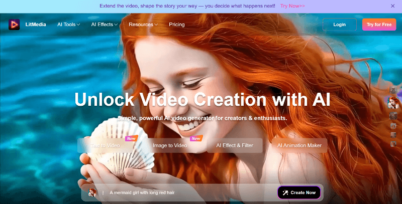 litvideo homepage