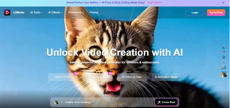litvideo homepage