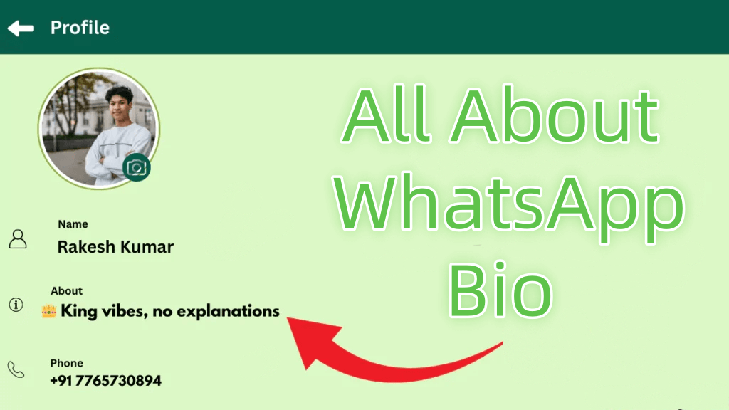 all about whatsapp bio