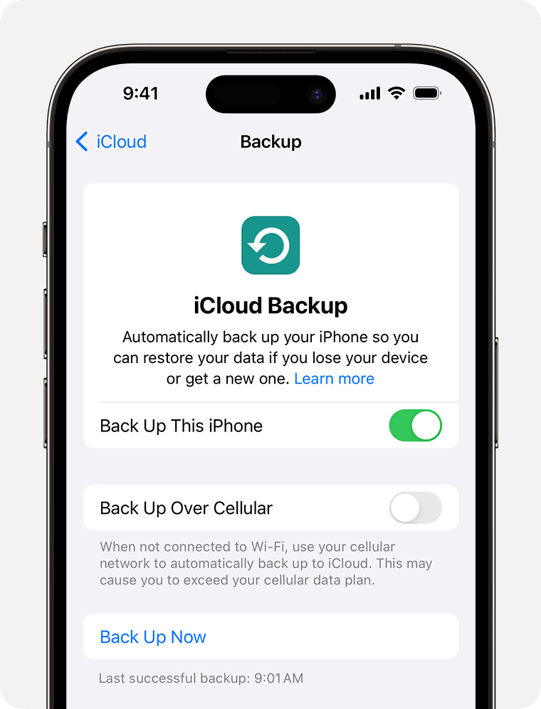 How to Retrieve Text Messages from iCloud on iPhone