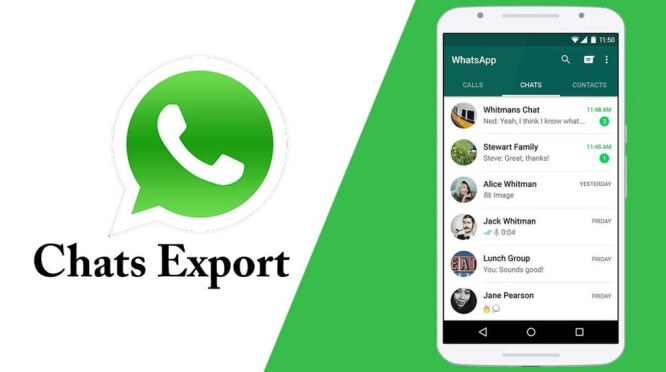 export someone WhatsApp without them knowing