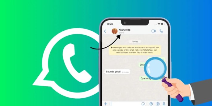 free WhatsApp online tracker