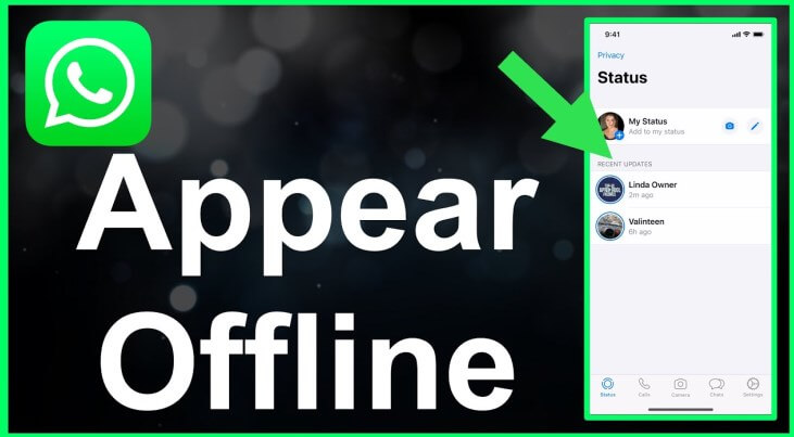 how to make whatsapp offline