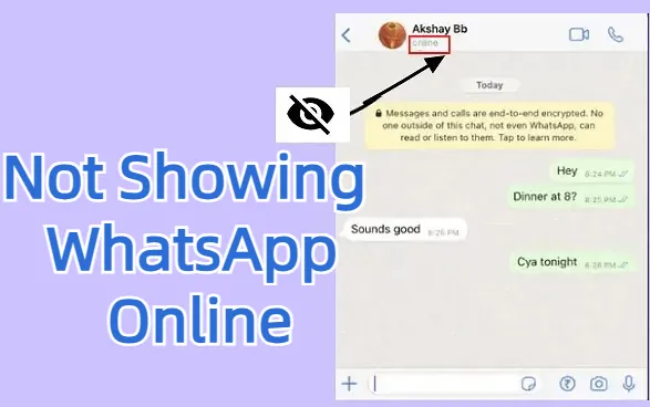 [ 2024  Full Guide] How to Not Show Online on WhatsApp