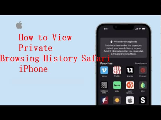 how to view private browsing history Safari iphone