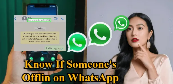 How to Know If Someone Is Offline on WhatsApp? [2024 Full Guide]