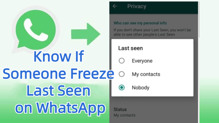 how to know if someone freeze last seen on WhatsApp