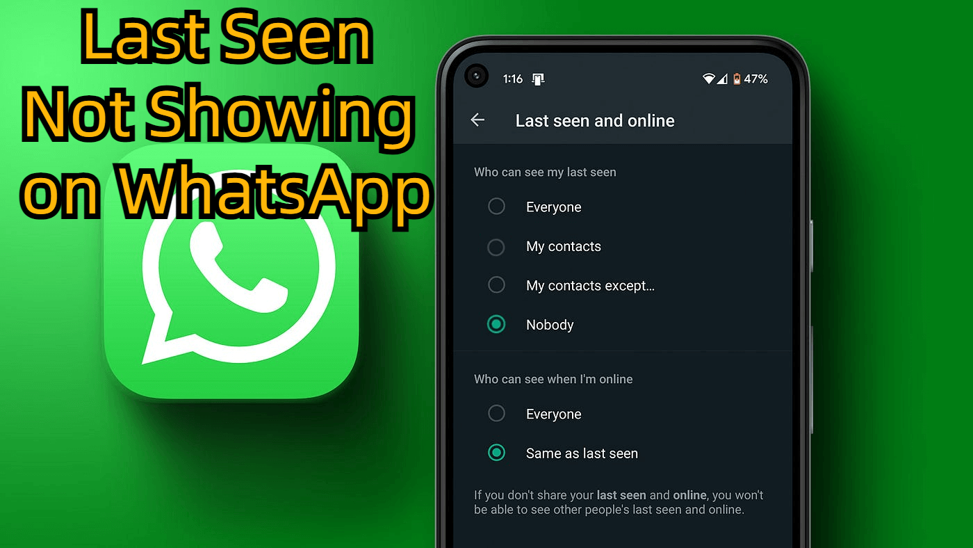 last seen on WhatsApp not showing