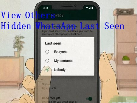 how to see last seen on WhatsApp if hidden