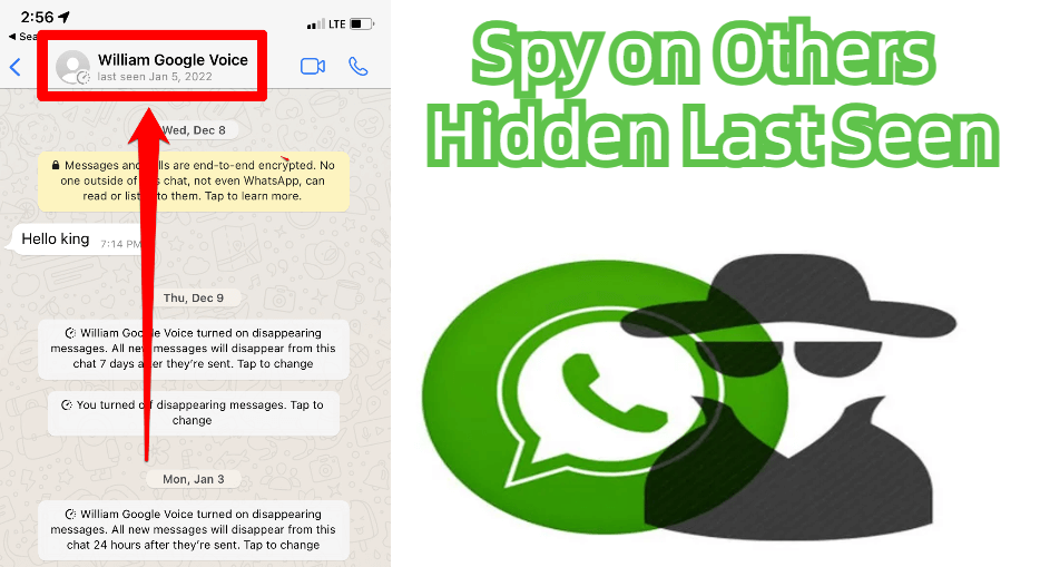 spy on WhatsApp last seen