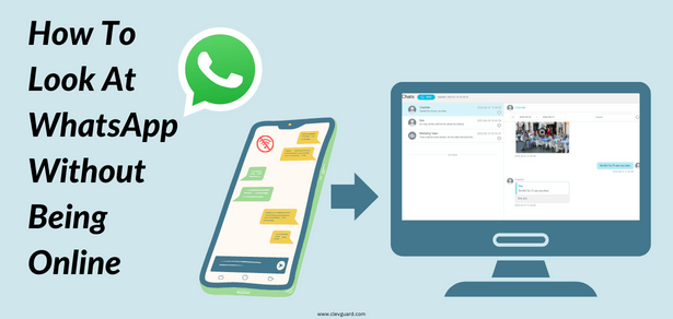 how to check whatsapp without being online