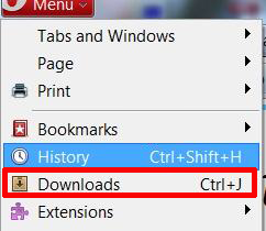 check opera download history on computer