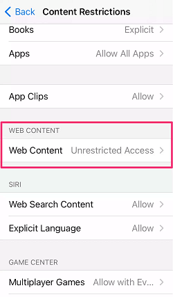 content restrictions web content