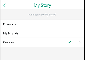 custom snapchat story