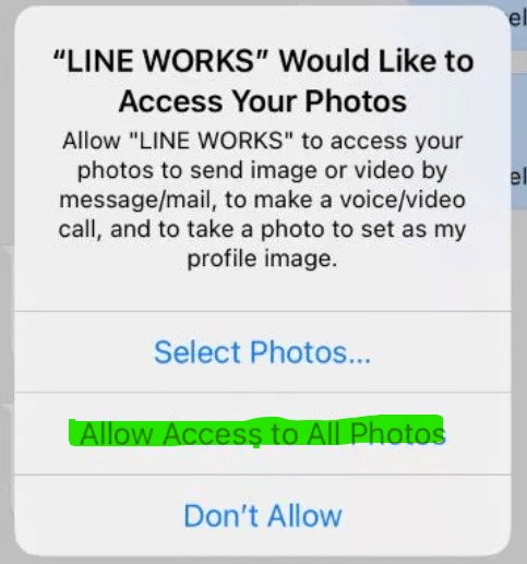 enable line photo access