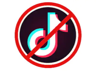 [4 Ways] How to Block TikTok on Android, iPhone and Router