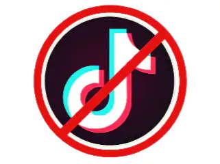 forms of tiktok bans