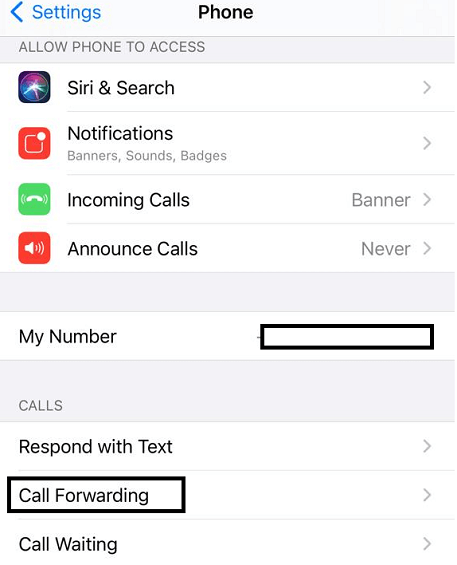 forward calls from settings iphone 1