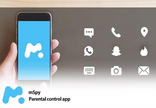 mspy install