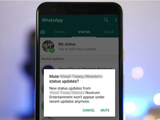 mute whatsapp status