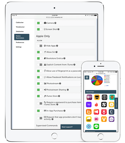 netsanity app