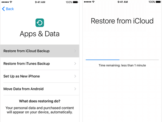 restore from icloud backup to check history on iPhone