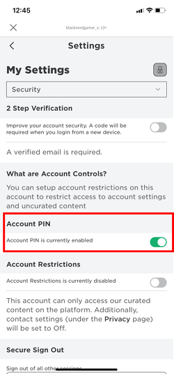 How To Add a Pin in Roblox: Parental Controls 