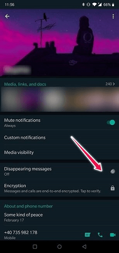 send disappearing messages on whatsapp 2