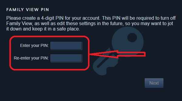 set pin on steam