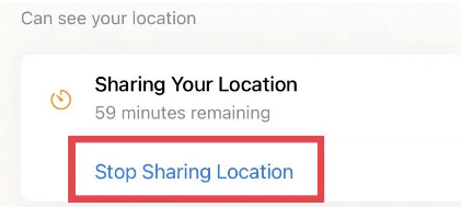 stop sharing location on google maps
