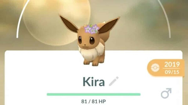 Pokemon GO Flower Crown Eevee Guide - Can Flower Crown Eevee Evolve?