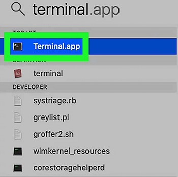 the terminal