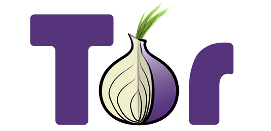 Tor 瀏覽器評論：安全嗎？ - 2024 年更新