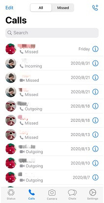 Check Others WhatsApp Call History Free