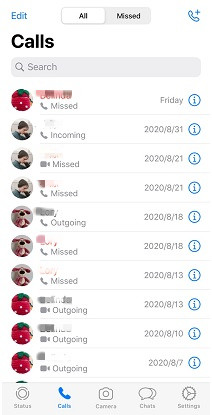 whatsapp call log history iphone