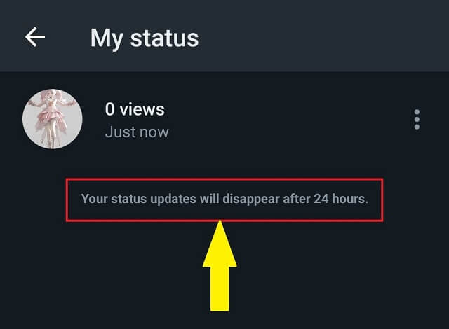 whatsapp status disappear in 24h