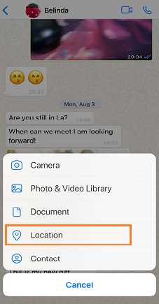 Track WhatsApp Number Location with Share Location