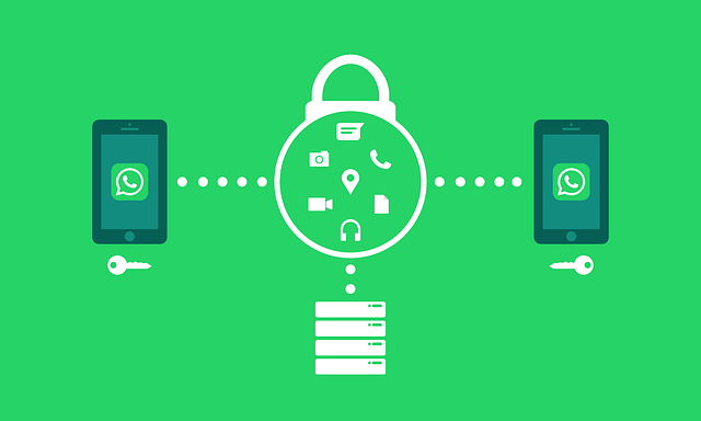 whatsapp security