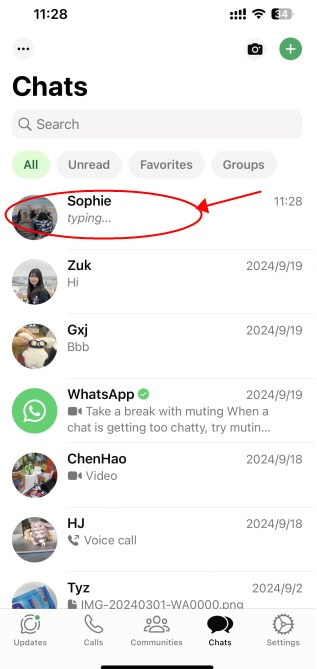 how to know if someone is online on WhatsApp