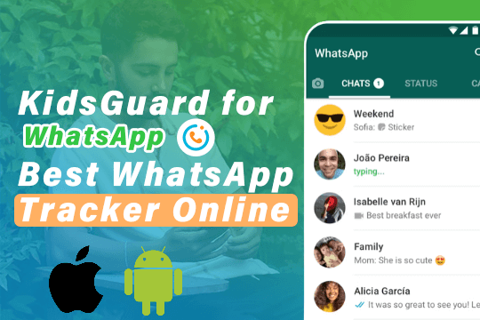 WhatsApp status tracker 