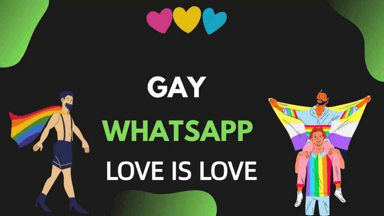 How to Find out WhatsApp Gay? [You Are Not Alone]