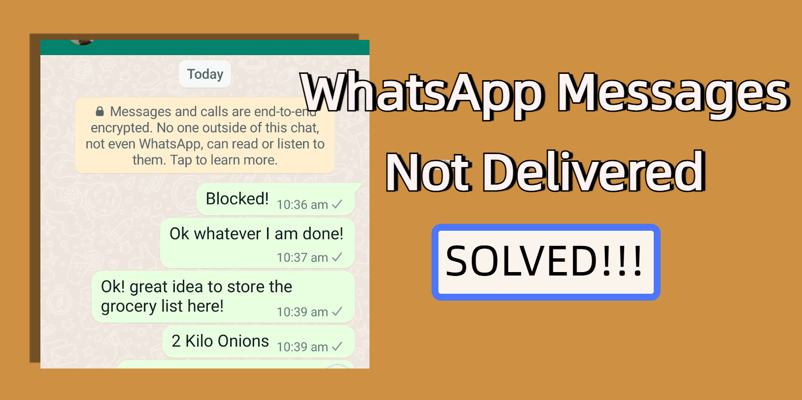 WhatsApp messages not delivered